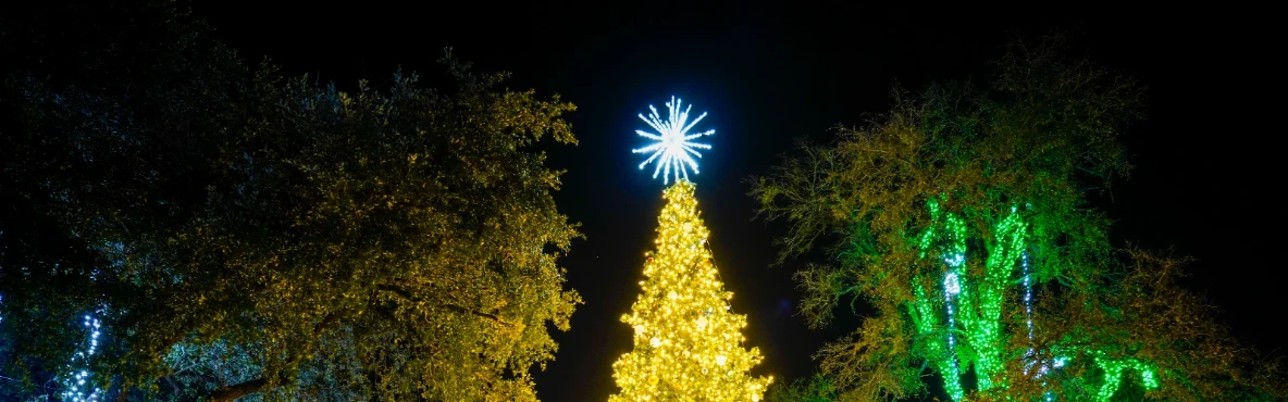 10 Best Places to See Christmas Lights in Dallas