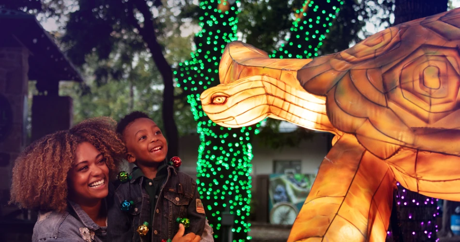 10 Tempat Wisata Terbaik untuk Anak-Anak di Dallas