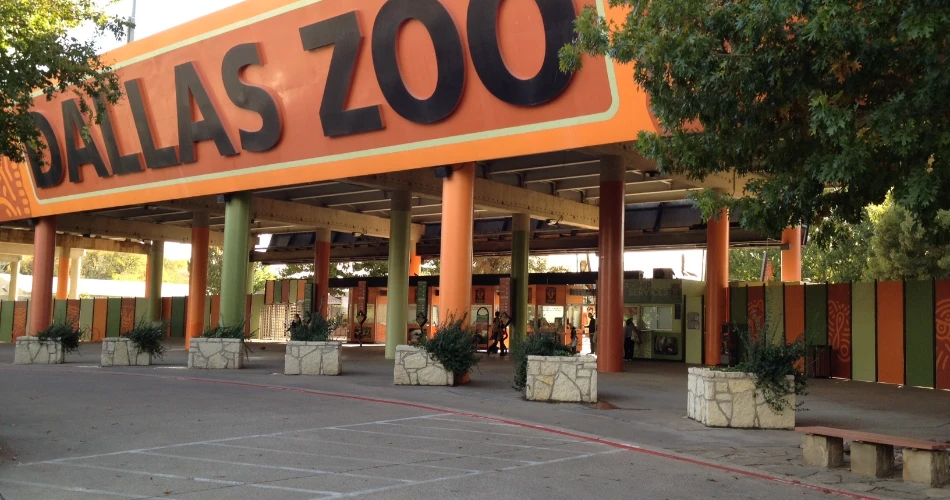 10 Tempat Wisata Terbaik untuk Anak-Anak di Dallas