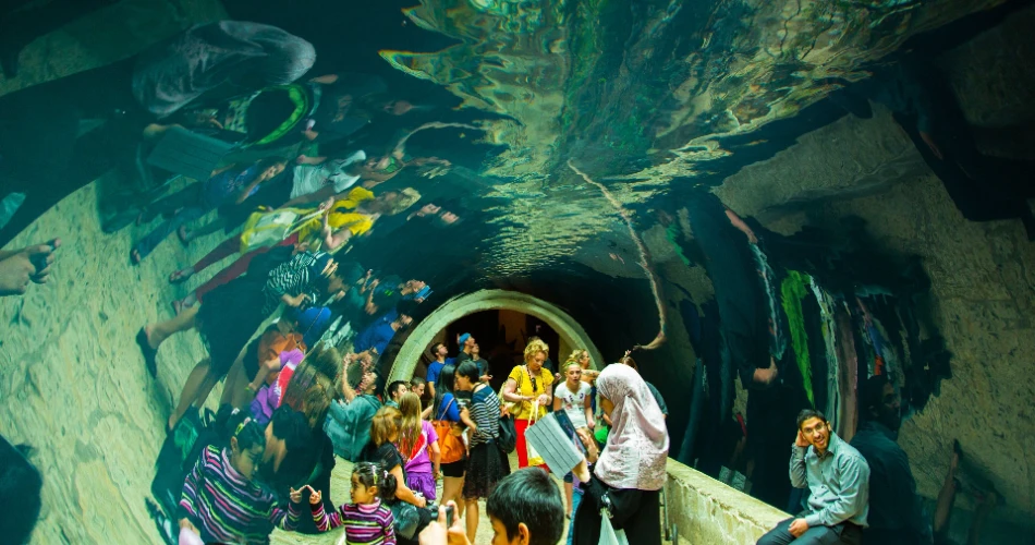 10 Tempat Wisata Terbaik untuk Anak-Anak di Dallas