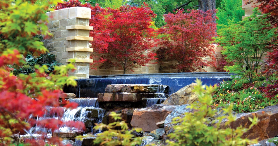 10 Tempat Wisata Terbaik untuk Anak-Anak di Dallas