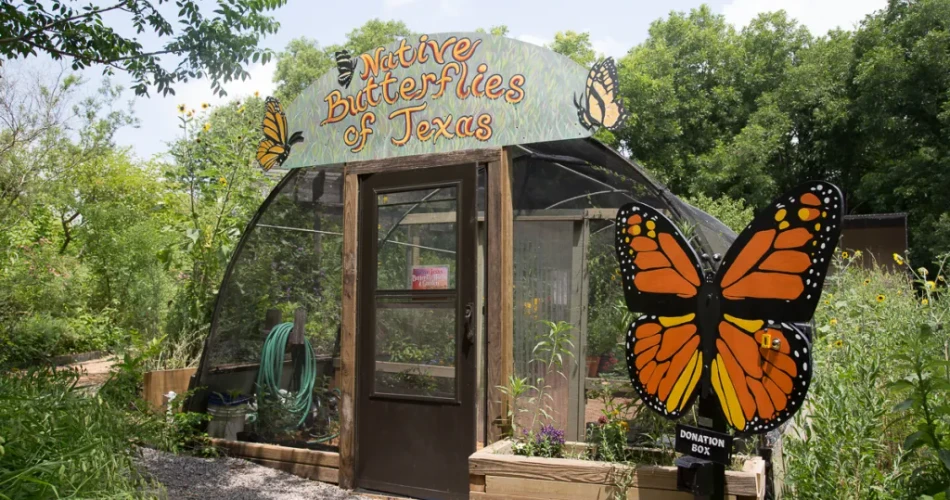 10 Tempat Wisata Terbaik untuk Anak-Anak di Dallas