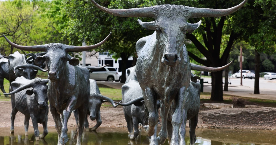 20 Aktiviti Terbaik di Dallas untuk Kanak-Kanak