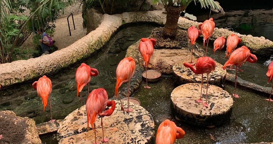 20 Aktiviti Terbaik di Dallas untuk Kanak-Kanak