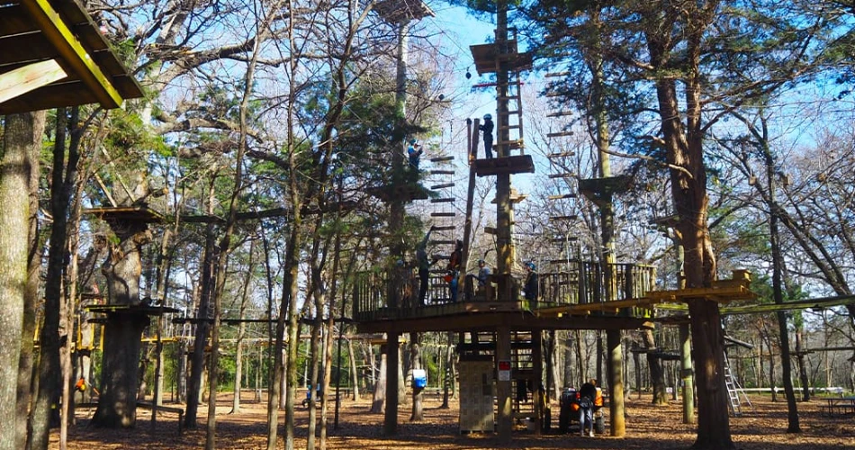 20 Aktiviti Terbaik di Dallas untuk Kanak-Kanak