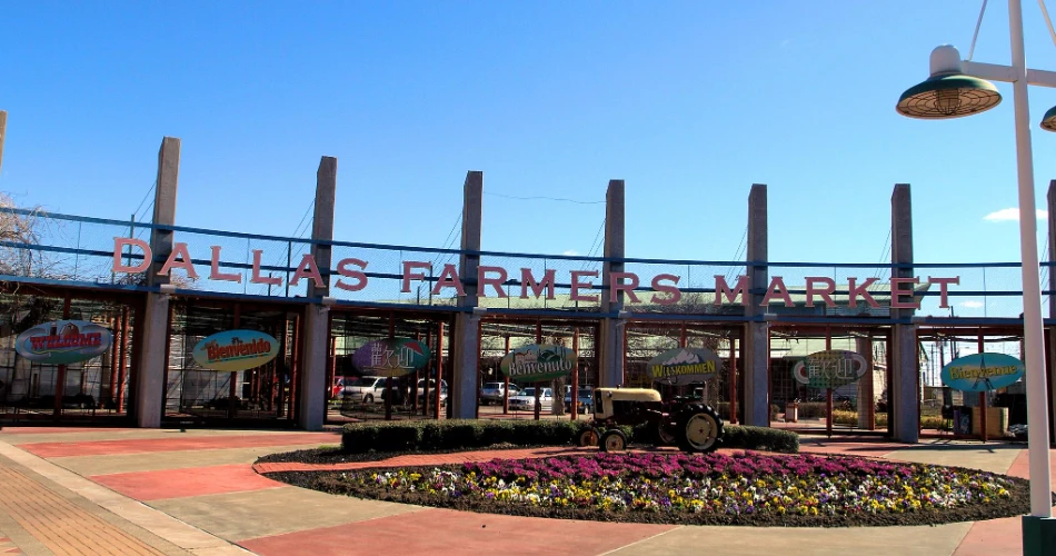 24 Jam di Dallas – Panduan Perjalanan Lengkap