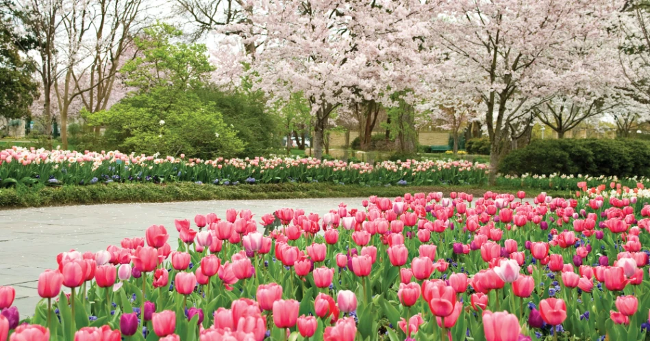 10 Best Parks and Outdoor Places in Dallas