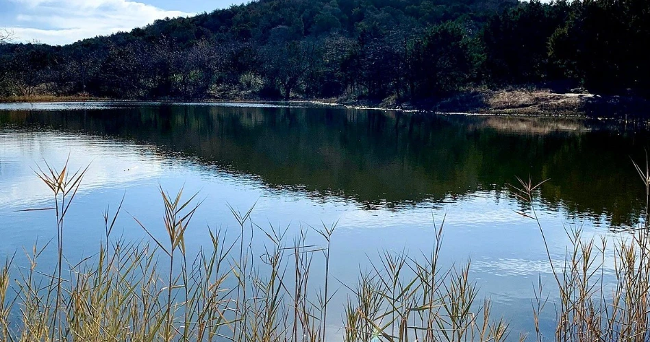 10 Best Parks and Outdoor Places in Dallas