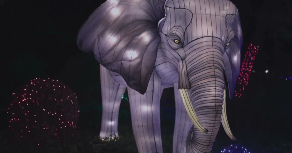 10 Best Christmas and Holiday Attractions in Dallas