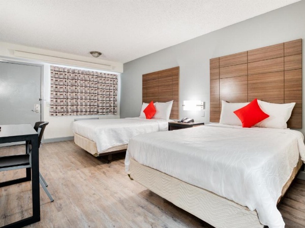 Dallas Love Field Inn image 17